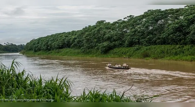 Más de 18 mil familias serían beneficiadas con creación del Área de conservación regional Más de 18 mil familias serían beneficiadas con creación del Área de conservación regional