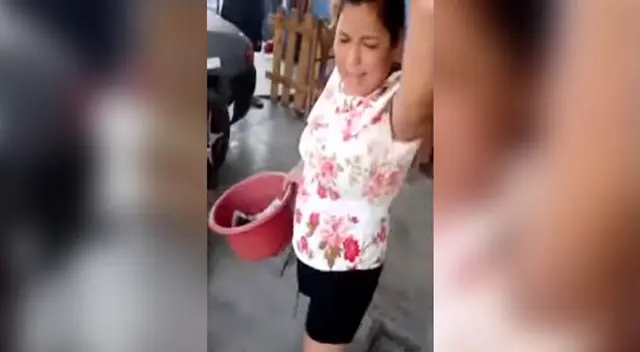 Varios mascotas perdieron la vida tras comer alimento con veneno. Los vecinos denuncian que una de la mujer que vive en la misma cuadra es la responsable