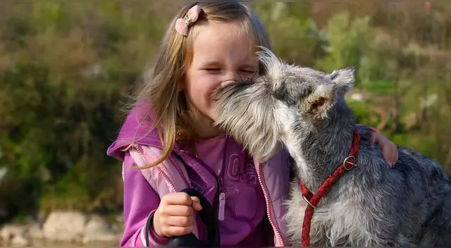 Consulta con un alergólogo antes de adquirir cualquier mascota. Consulta con un alergólogo antes de adquirir cualquier mascota.