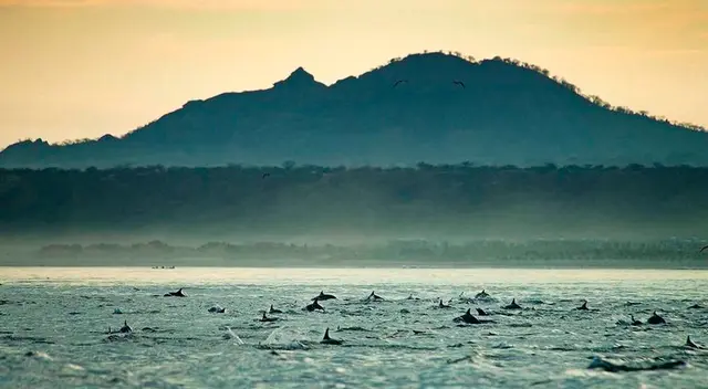 10 mil personas apoyan pedido para salvar la Reserva Nacional de Nasca 10 mil personas apoyan pedido para salvar la Reserva Nacional de Nasca