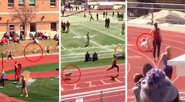 “Realmente desearía haberme tomado una selfie”, indicó la corredora escolar Gracie Laney.