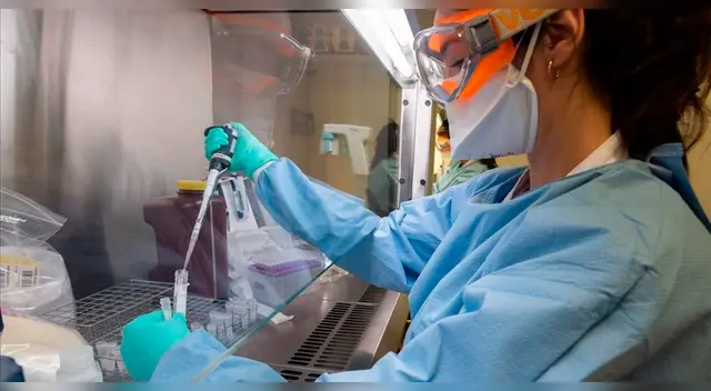 A través de un análisis genómico de la USFQ se confirmó la mutación del virus en cinco personas. A través de un análisis genómico de la USFQ se confirmó la mutación del virus en cinco personas.