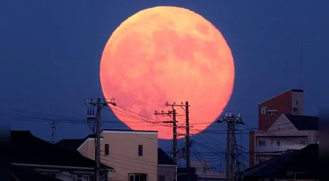 Según la NASA, la superluna rosa, la mas grande del 2021, podrá ser vista en Perú y el resto del mundo desde la noche del lunes 26 hasta la madrugada del 27 de abril a partir de las 10 de la noche. Según la NASA, la superluna rosa, la mas grande del 2021, podrá ser vista en Perú y el resto del mundo desde la noche del lunes 26 hasta la madrugada del 27 de abril a partir de las 10 de la noche.