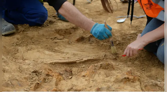 Imagen ilustrativa Imagen ilustrativa