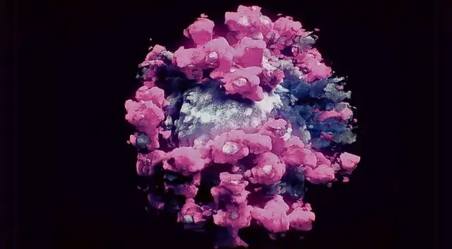 OMS: variante india de coronavirus sería más resistente a algunos tratamientos con anticuerpos.