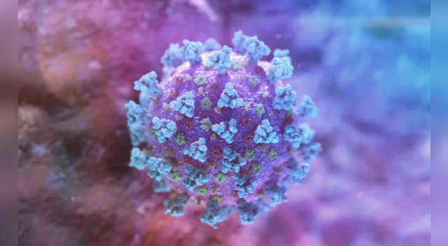 EE. UU.: Especialistas descubren cómo neutralizar la COVID-19 en menos de un segundo.