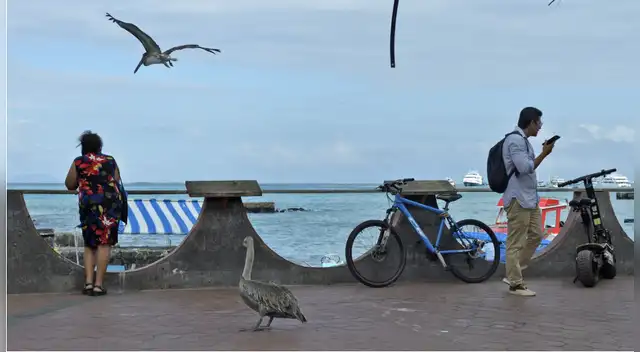 Personas en Puerto Ayora, Isla Santa Cruz, en las Islas Galápagos, 15 de abril de 2021