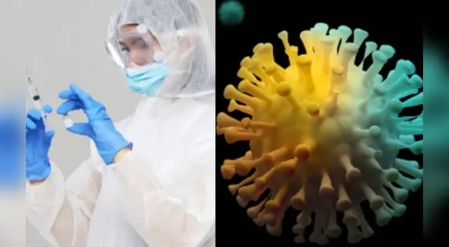 EE. UU.: Estudio advierte que sobrevivientes de COVID-19 tendrían un 60% más de probabilidad de morir.