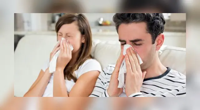 La influenza o gripe estacional, como su nombre lo dice, es un virus presente en la estación de otoño. La influenza o gripe estacional, como su nombre lo dice, es un virus presente en la estación de otoño.