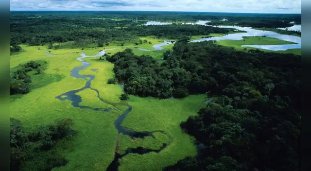 Minagri anunció acuerdos con empresas privadas para fomentar 56 mil empleos Minagri anunció acuerdos con empresas privadas para fomentar 56 mil empleos