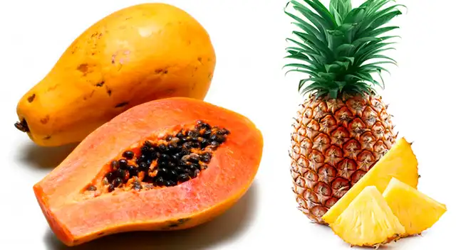 Las enzimas proteolíticas son esenciales para muchos procesos importantes en su cuerpo.