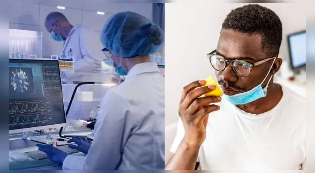 Francia: Estudio revela el factor que provoca la pérdida del olfato en personas con COVID-19. Francia: Estudio revela el factor que provoca la pérdida del olfato en personas con COVID-19.