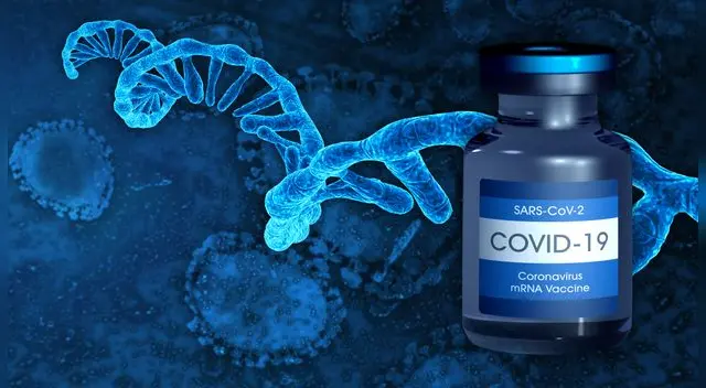 Esto nos lleva a preguntar cómo funcionan estas vacunas pues no todas siguen el mismo proceso ni tienen la misma tecnología.