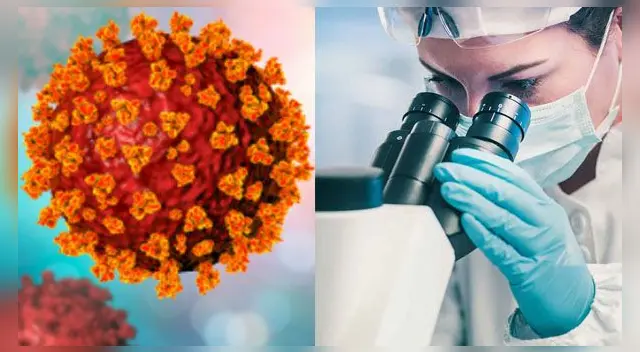 Brasil detecta nueva variante del coronavirus: está presente en el 6% de los casos de Rio de Janeiro.