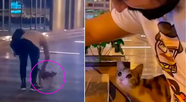 El joven se ganó la confianza de la gatita.