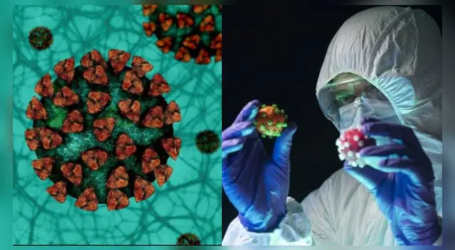 EE. UU.: descubren un tratamiento con anticuerpos que podría acabar con las variantes del coronavirus