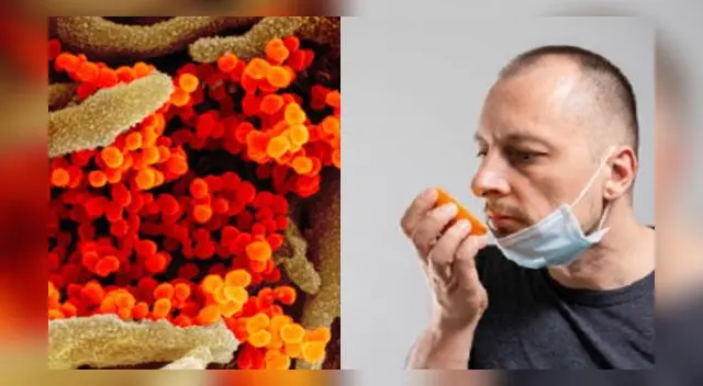 La COVID-19 puede permanecer hasta más de seis meses en la nariz tras infección, afirma estudio. La COVID-19 puede permanecer hasta más de seis meses en la nariz tras infección, afirma estudio.