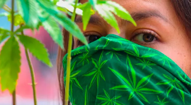 Colectivos marcharon para pedir legislar la marihuana.