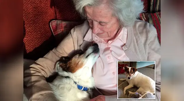 La abuelita conmovió a todos en las redes sociales. La abuelita conmovió a todos en las redes sociales.