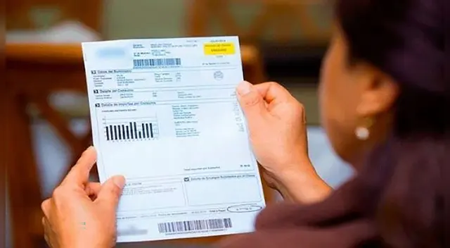 Consumo de energía eléctrica se puede realizar vía electrónica sin necesidad de acercarse a las instalaciones de Enel.