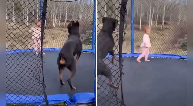 La escena ha causado furor en las redes sociales. La escena ha causado furor en las redes sociales.