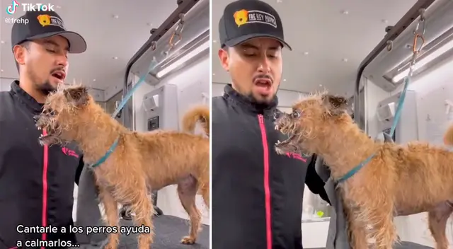 La canción del veterinario no fue del agrado del perrito.
