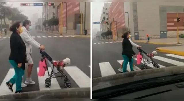 La escena ha causado furor en las redes sociales. La escena ha causado furor en las redes sociales.