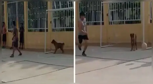 La escena ha causado furor en las redes sociales. La escena ha causado furor en las redes sociales.