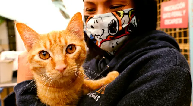 La rabia, toxoplasmosis, bartonellosis, y toxocariasis, son algunas enfermedades de zoonosis. La rabia, toxoplasmosis, bartonellosis, y toxocariasis, son algunas enfermedades de zoonosis.