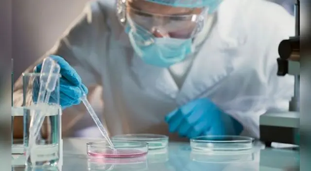 ¿Cuánto tiempo permanecen los anticuerpos en la sangre de un paciente con COVID-19? ¿Cuánto tiempo permanecen los anticuerpos en la sangre de un paciente con COVID-19?