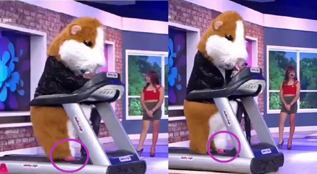 El Cuy de EBT tomó por sorpresa a todos con su habilidad de caminar en tacones.