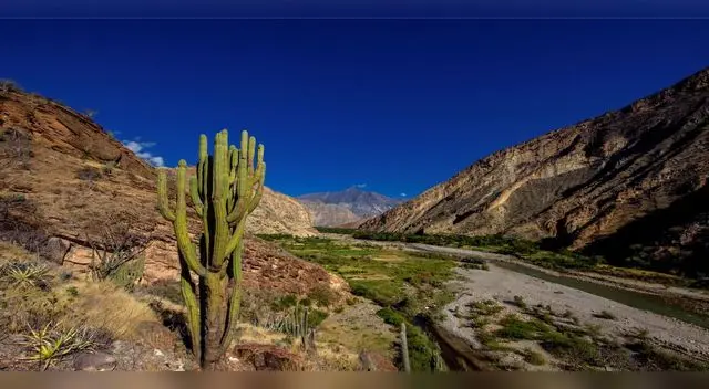 Los Bosques Secos del Marañón son la tercera área de conservación regional de Cajamarca