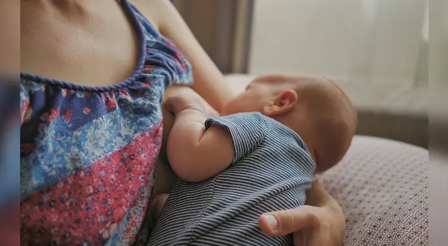 Promueven la protección y nutrición de la niñez más vulnerable. Promueven la protección y nutrición de la niñez más vulnerable.