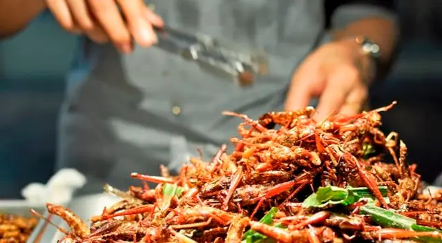 “Tienen el potencial de proporcionar dietas saludables y resistentes al riesgo que pueden abordar la desnutrición en todo el mundo”, indicó Tzachor.