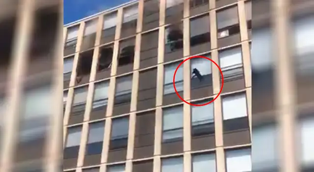 El portavoz del Departamento de Bomberos de Chicago dijo que el gato no resultó herido, y que estaba tratando de localizar a su dueño.