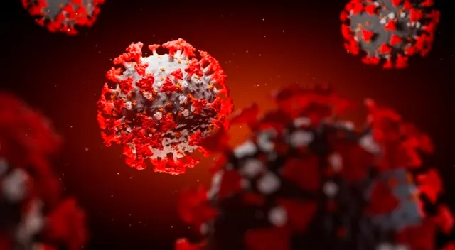 SARS-CoV-2 podría durar 8 meses o más en el organismo. SARS-CoV-2 podría durar 8 meses o más en el organismo.