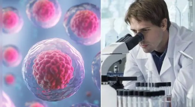 COVID-19: descubren que inmunidad celular protegería de la gravedad del virus en ausencia de anticuerpos