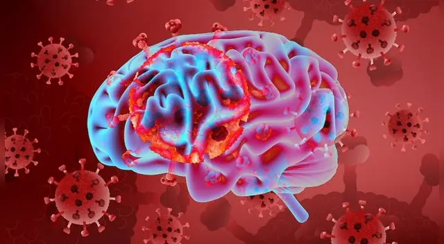 A esa conclusión llegaron los especialistas de la Universidad Estatal de Georgia y el Instituto de Tecnología de Georgia, en EE.UU. A esa conclusión llegaron los especialistas de la Universidad Estatal de Georgia y el Instituto de Tecnología de Georgia, en EE.UU.