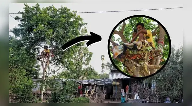 El pasado 4 de mayo un estudiante de 18 años en la India tomó la decisión de hacer una cama improvisada a lo alto de un árbol.