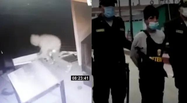 Fiscalía investiga a los tres menores que intentaron asaltar pollería de Los Olivos Fiscalía investiga a los tres menores que intentaron asaltar pollería de Los Olivos