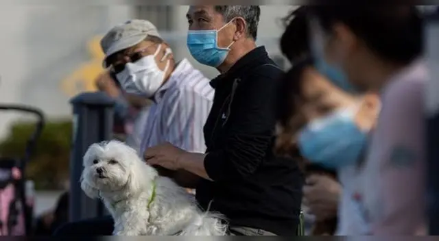 Una característica importante es que no se llegó a demostrar que el coronavirus haya sido causa de la neumonía en las personas enfermedad por el virus.