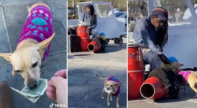 La escena ha cautivado a miles en las redes sociales.