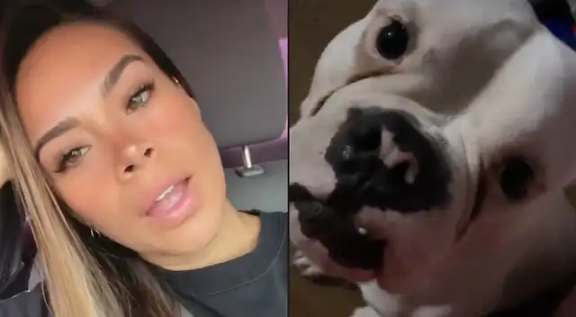 Jossmery Toledo asegura que su perro habla. Jossmery Toledo asegura que su perro habla.
