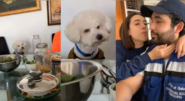 La escena ha causado sensación en las redes sociales.