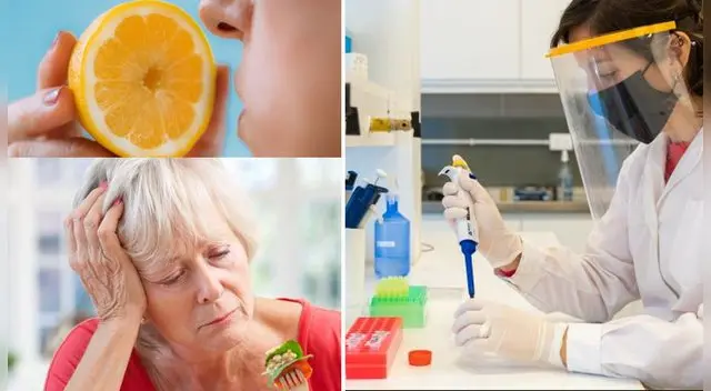 ¿Cuántos meses perderé el olfato y el gusto si me contagié de COVID-19?