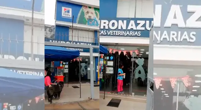 Veterinaria de La Perla niega que hubo negligencia en muerte de mascota. Veterinaria de La Perla niega que hubo negligencia en muerte de mascota.