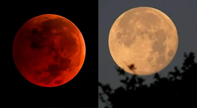 Entérate más respecto al eclipse que se verá desde México. Entérate más respecto al eclipse que se verá desde México.