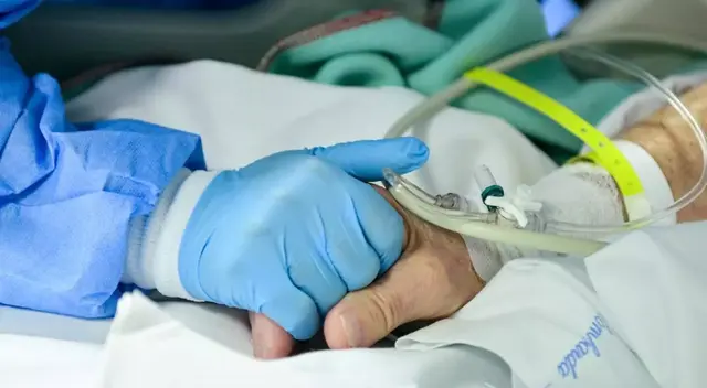 Una de las formas en que la mucormicosis se desplaza es invadiendo los vasos sanguíneos. Una de las formas en que la mucormicosis se desplaza es invadiendo los vasos sanguíneos.