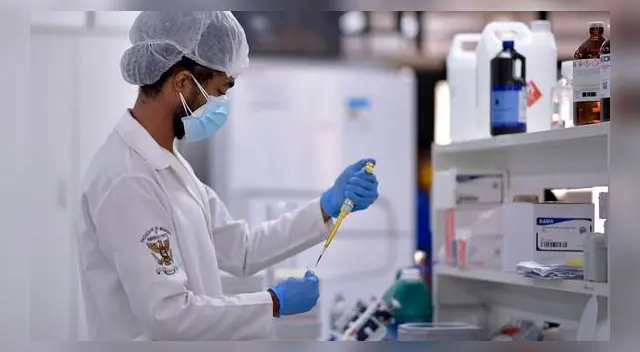 Científicos detectan nueva variante del coronavirus en 21 municipios de Sao Paulo. Científicos detectan nueva variante del coronavirus en 21 municipios de Sao Paulo.