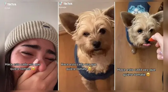 La escena ha cautivado a miles en las redes sociales. La escena ha cautivado a miles en las redes sociales.